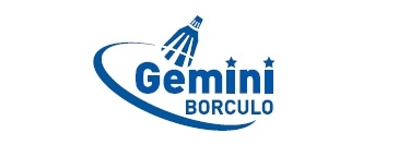 Gemini Volleybal Borculo 