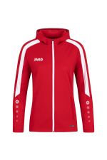 DWV JAKO hooded sweater